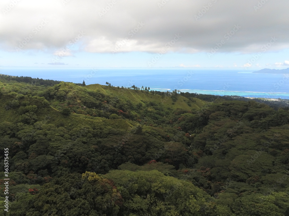 Forêt vue du ciel à Tahiti, Polynésie française	