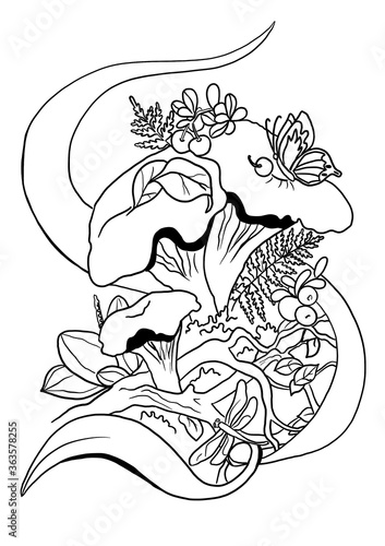 Mushrooms. Graphic illustration. Anti stress coloring page
