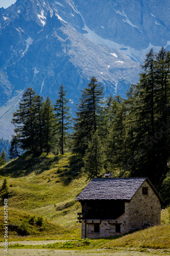 cabin in the mountains