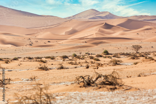 Sand Dune Landscape at Sossusvlei in the Namib Desert, Namibia, Africa 