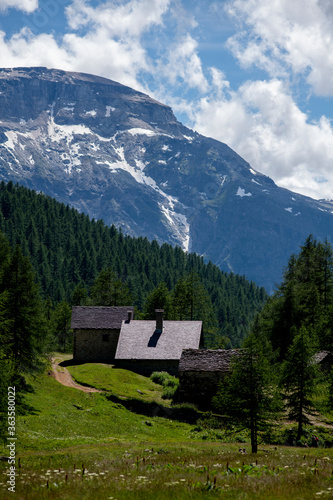 Cabin village in the alps