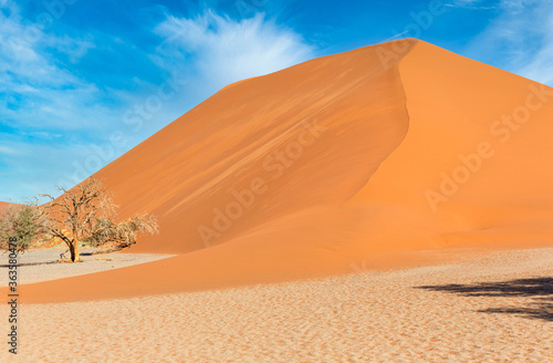 Sand Dune Landscape at Sossusvlei in the Namib Desert  Namibia  Africa 