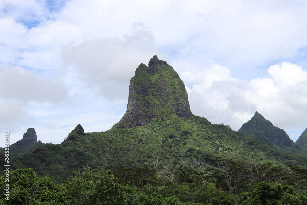 Naklejka premium Montagnes à Moorea, Polynésie française 