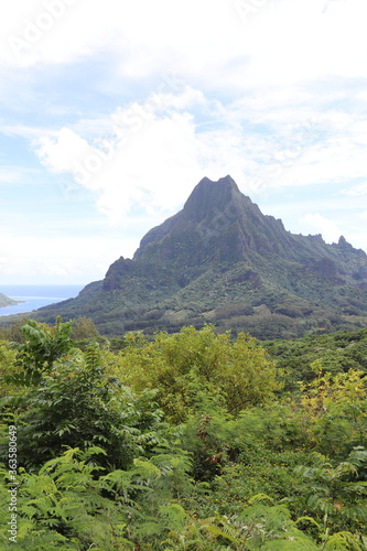 Mont Rōtui à Moorea, Polynésie française 