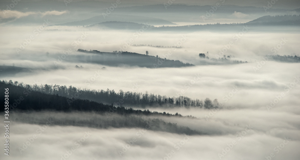 Obraz premium Dense fog swept through the forest. Autumn morning on the mountain. 