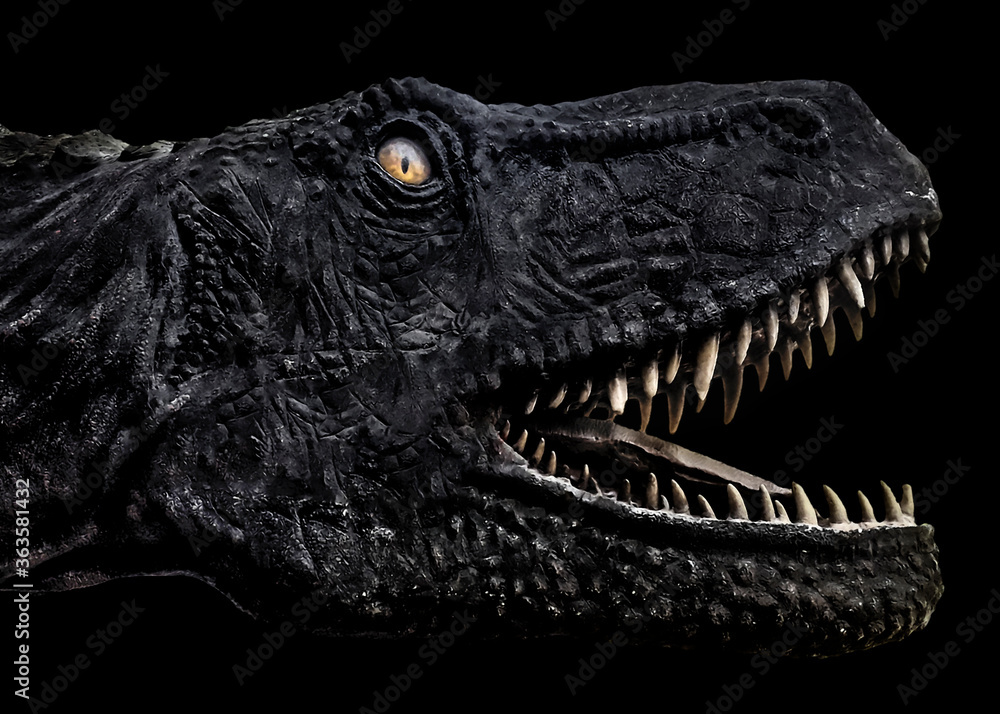Naklejka premium Trex Dinosaur Head Dark plakat
