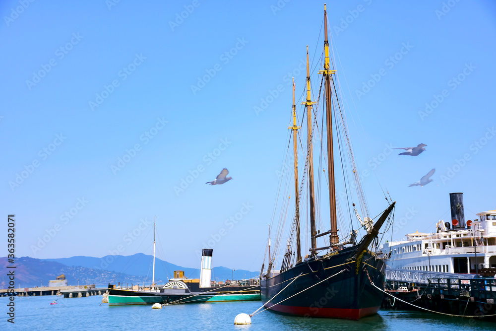 birds flying near a tall ship docked in san francisco
