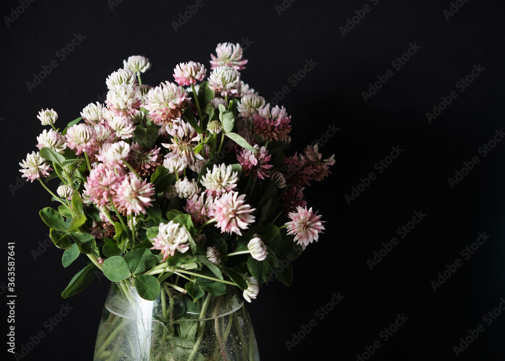 bouquet of wildflowers clover in a glass vase isolated on black background. Copy space