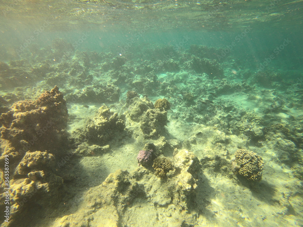 Fond marin du lagon de Maupiti, Polynésie française