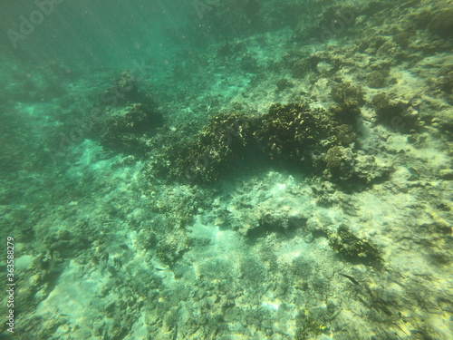 Fond marin du lagon de Maupiti, Polynésie française