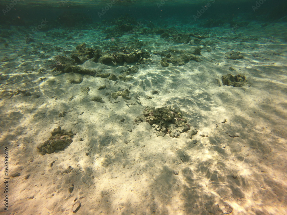 Fond marin du lagon de Maupiti, Polynésie française