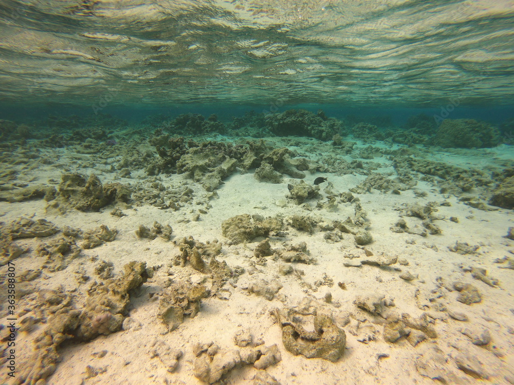 Lagon de Maupiti, Polynésie française Lagon de Maupiti, Polynésie française