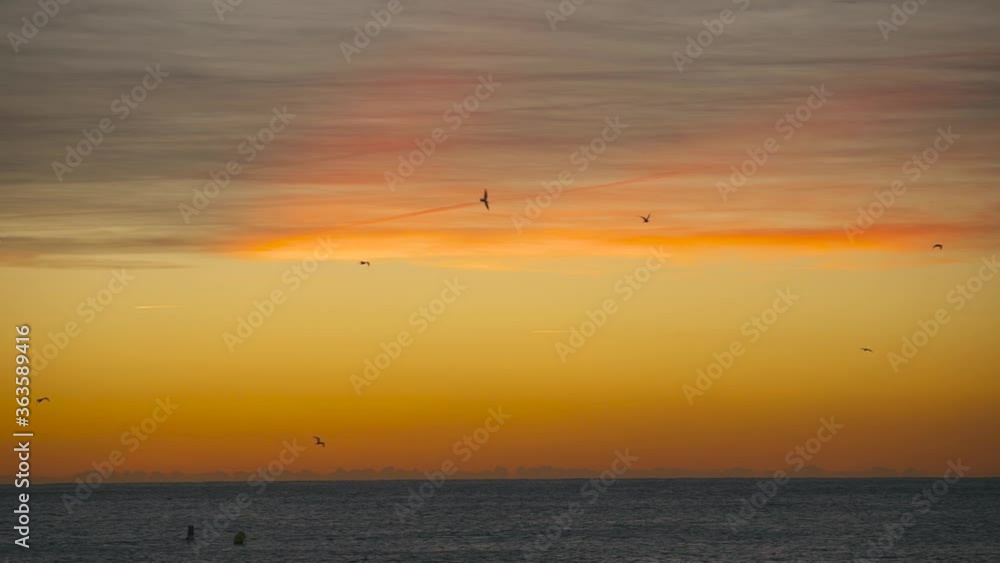 Silhouette birds flying across a orange sky of the Mediterranean sea at sunrise, at Barcelona, Spain. Silhouette birds flying across a orange sky of the Mediterranean sea at sunrise, at Barcelona, Spain.