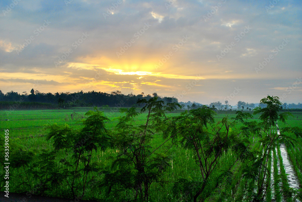 Obraz premium sunrise over the countryside