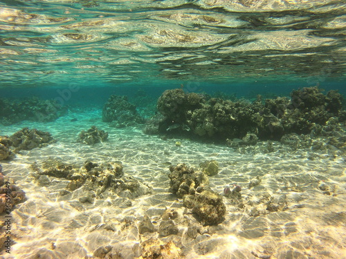 Wallpaper Mural Lagon de Maupiti, Polynésie française Torontodigital.ca