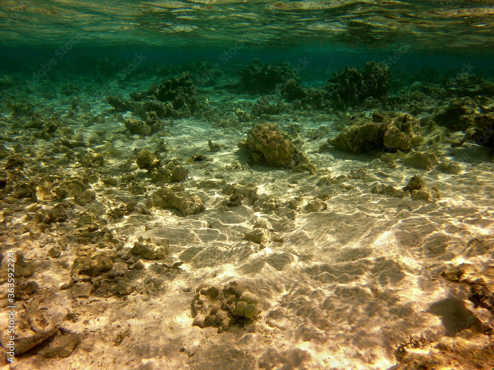 Fototapeta premium Polinezja Francuska - Maupiti