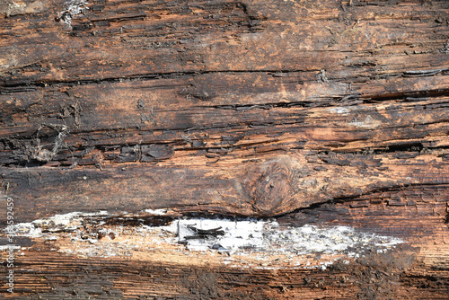 Background old rotten surface of the board. Wood texture. Place for advertising