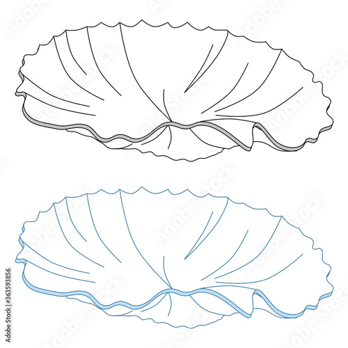 Open Scallop seashell of mollusks icon sign isolated vector illustration