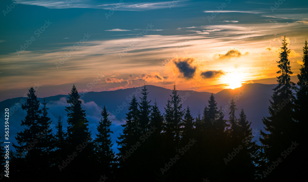 Breathtaking sunset in coniferous forest.