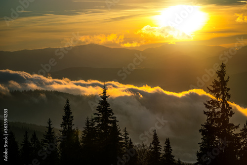 Beautiful sunrise in mountain forest with magical sky on background