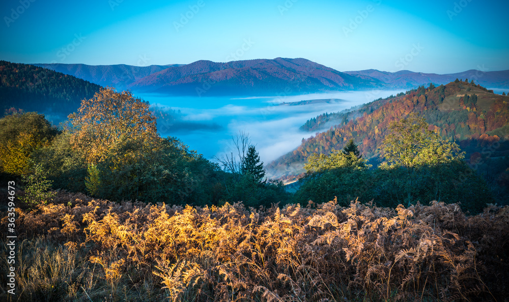 Fototapeta premium Morning sun illuminating rolling hills with light rays
