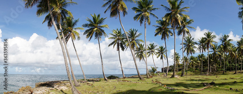 Tropical Beach and Ocean island setting in Samana  Dominican Republic.