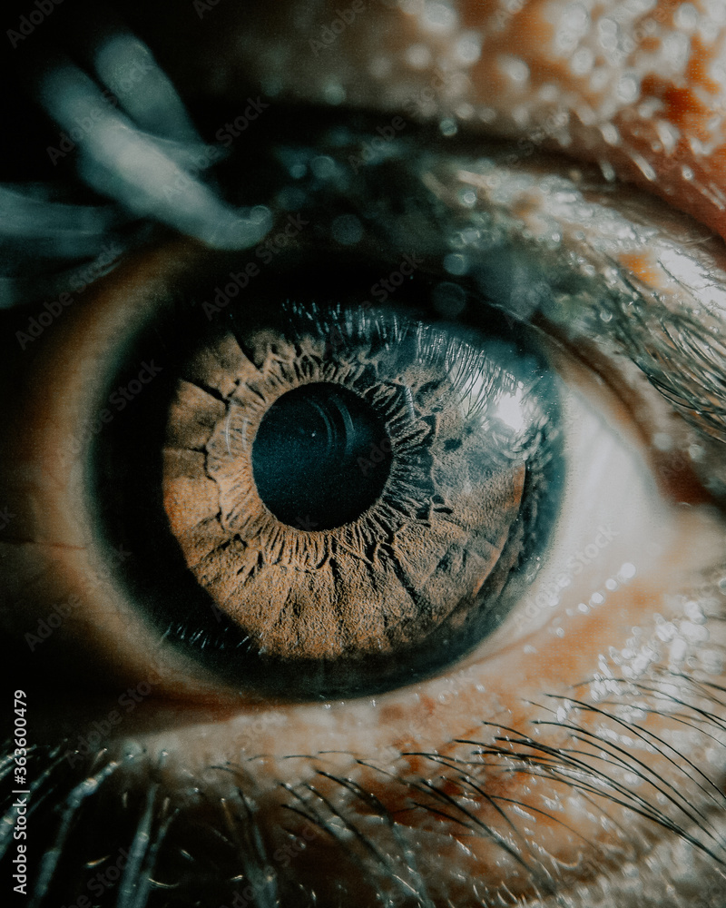 eye of the person eye of the person