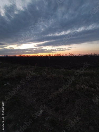 sunset over the field