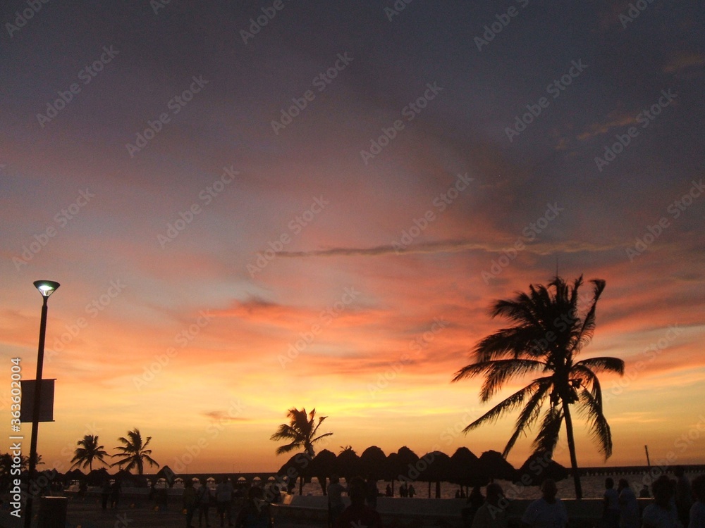 Obraz premium sunset over the sea