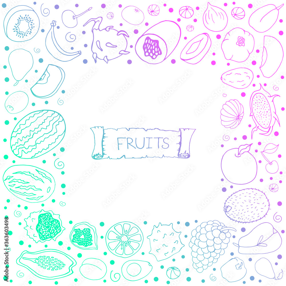 Set with fruit.  Doodle style. Kiwi, grapes, pomegranates, currants on a white background. Vector isolated illustration with tropical fruits.  Apples, pears, cherries, apricots, watermelons, melons.