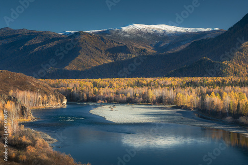 Autumn landscape, dark blue river bordered by autumn trees against the background of mountains and dark blue sky