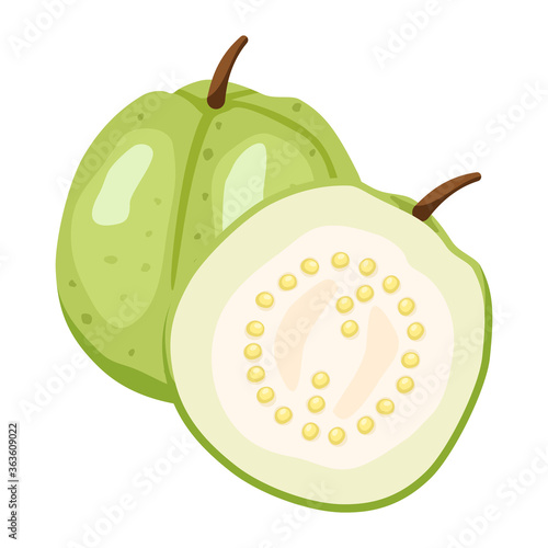 Fresh Guava fruit and guava slice on white background. Vector illustration flat cartoon design.