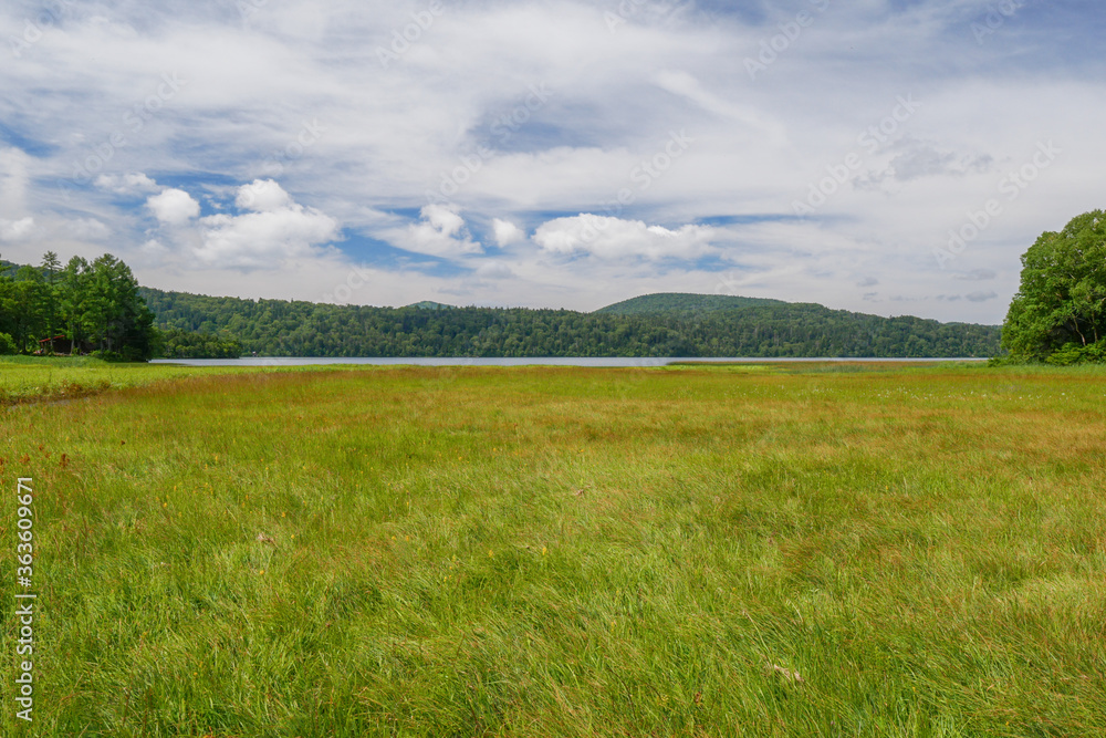 Obraz premium 尾瀬・大江湿原