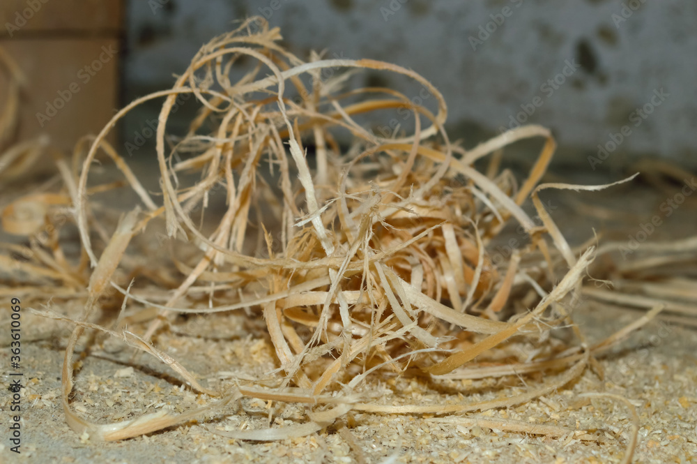 close-up - wooden sawdust and long shavings are lying on the concrete floor at the construction site - construction waste