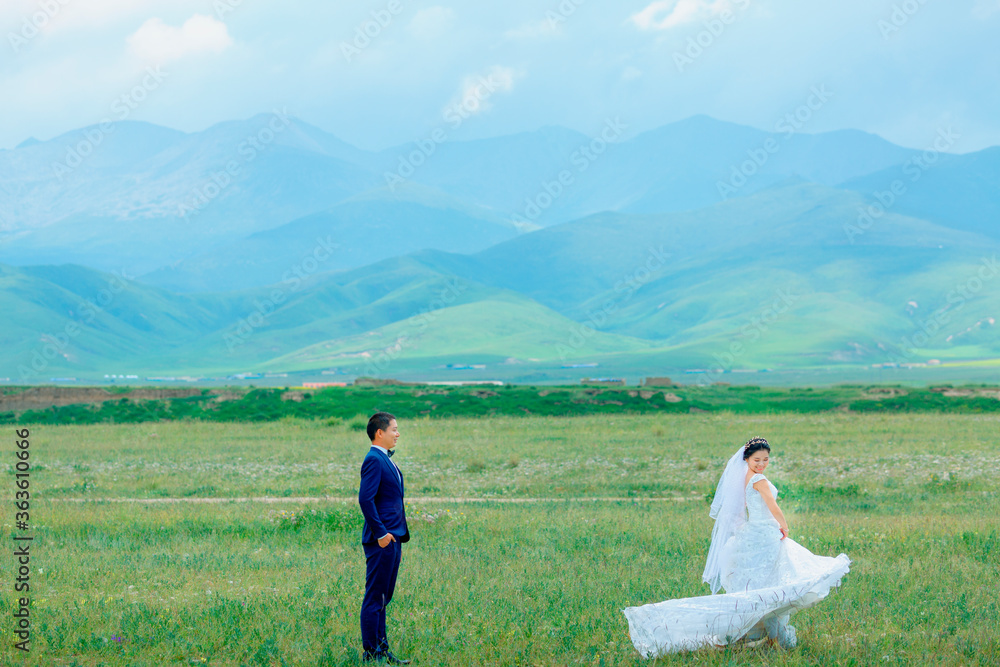 Couples and wedding dresses on the lawn. Couples and wedding dresses on the lawn.