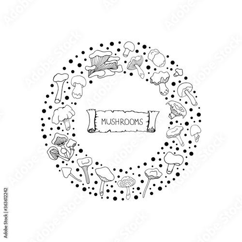 Set with mushrooms. . Vector isolated illustration with chanterelles, russules, oyster mushrooms. Doodle style. Design of logos, books, albums, and magazines. White mushrooms on a white background.