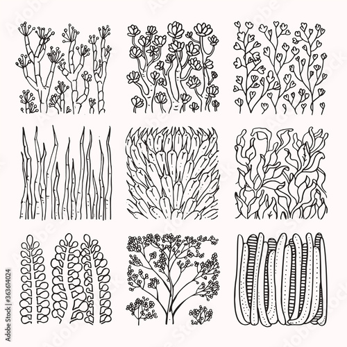 Floral ornaments and botanical textures. Design elements for organic branding, wedding invitation, greeting card, fashion textile and floral prints. Hand drawn subtropical plants patterns vector set.