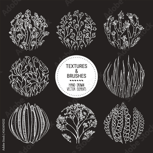 Floral round textures, subtropical plant ornaments. Botanical design elements for organic branding, invitation, greeting card, floral stickers and prints. Hand drawn subtropical patterns vector set.