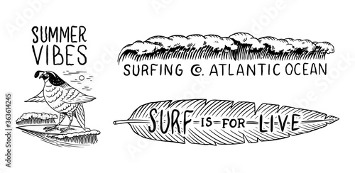  Surf badge, Vintage Surfer logo. Retro Wave and Bird and tropical leaf. Summer California. Engraved emblem hand drawn. Banner or poster.