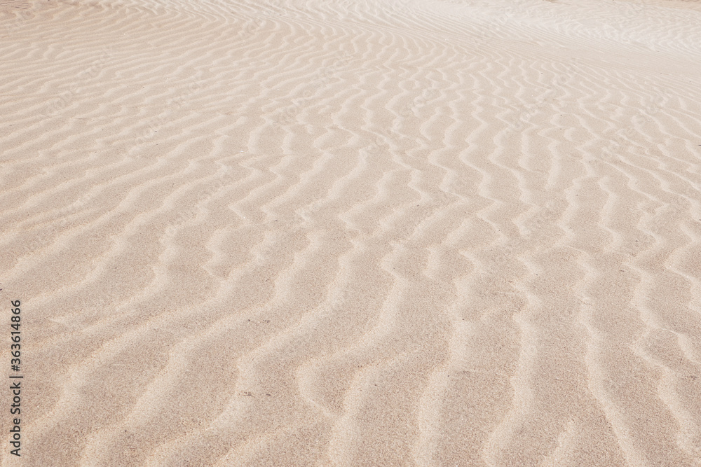 White Sand dunes background texture. Beach and sand texture. Pattern of sand. Beautiful sand dune in sunrise in the desert. Steps on the beach sand. White Sand dunes background texture. Beach and sand texture. Pattern of sand. Beautiful sand dune in sunrise in the desert. Steps on the beach sand.