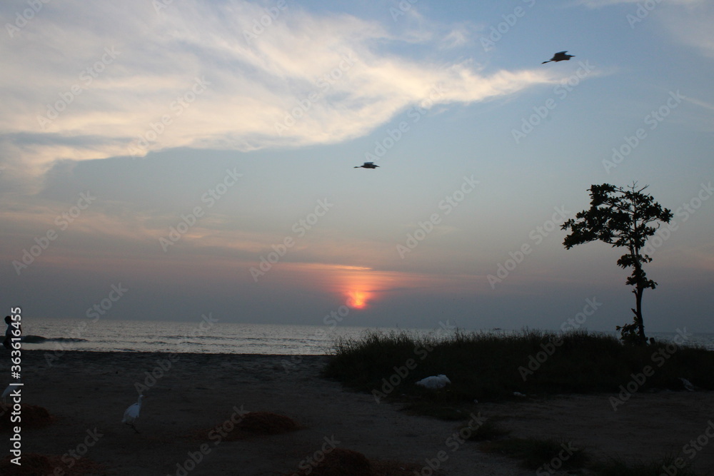 Obraz premium sunset on the beach