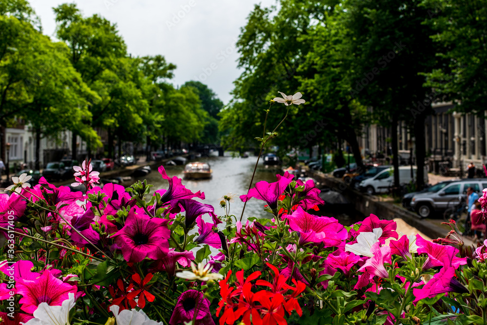 Summer in Amsterdam, The Netherlands.