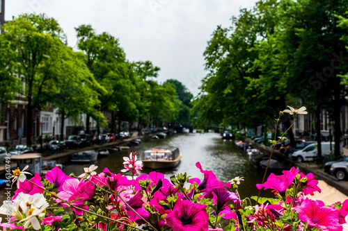 Canal in Amsterdam, The Netherlands © Zachary