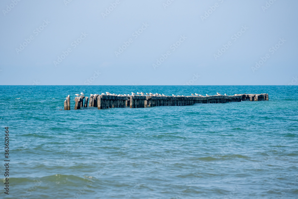 Landscape of sea, seagulls on a concrete Breakwater. Black Sea, Poti