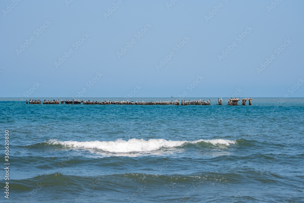 Landscape of sea, seagulls on a concrete Breakwater. Black Sea, Poti