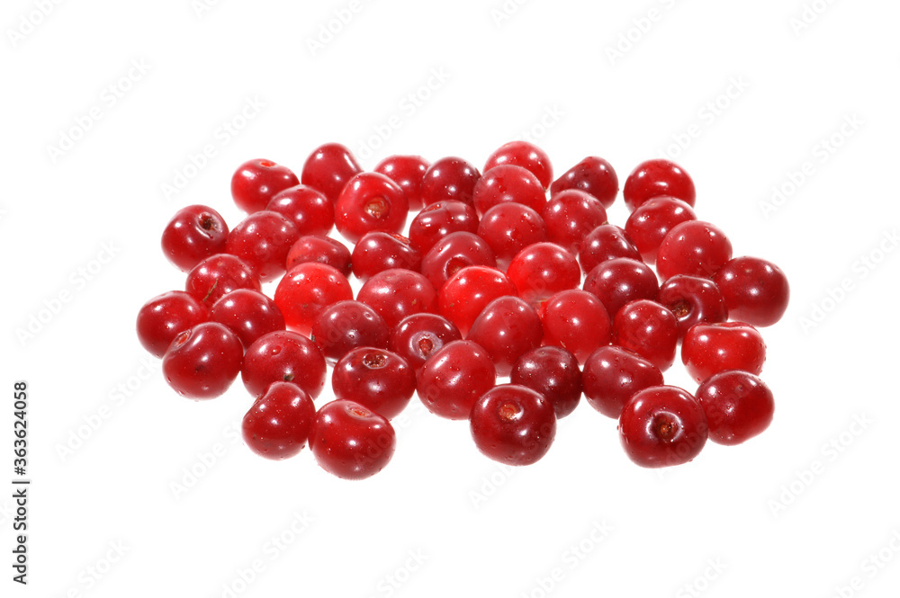 red cherry isolated on white background red cherry isolated on white background