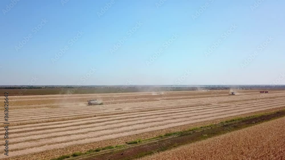Aerial drone view: combine harvesters working in soybean field on sunset. Harvesting machine driver cutting crop in farmland. Organic soy farming. Agriculture, harvesting season. Quadcopter video. Aerial drone view: combine harvesters working in soybean field on sunset. Harvesting machine driver cutting crop in farmland. Organic soy farming. Agriculture, harvesting season. Quadcopter video.