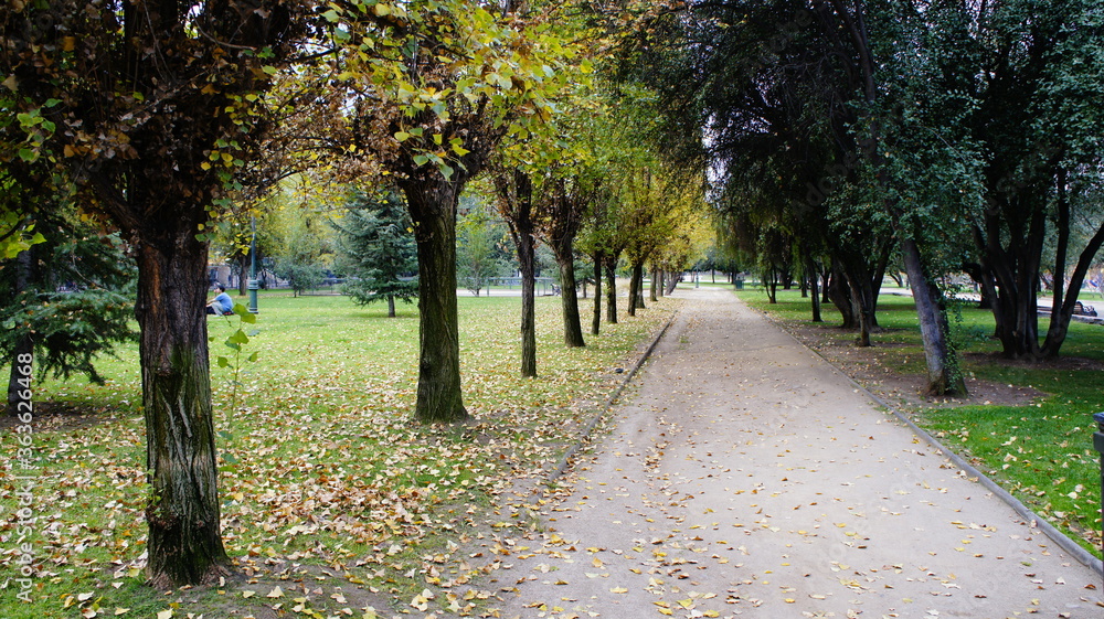 Naklejka premium SONY DSC