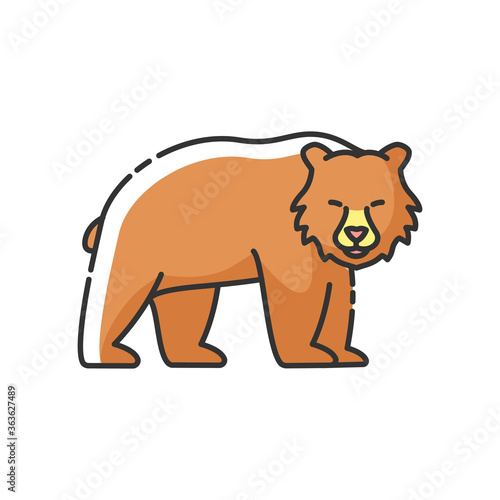 Brown bear RGB color icon. Large carnivore predator  dangerous woodland creature  forest inhabitant. Common nordic fauna. Grizzly bear isolated vector illustration
