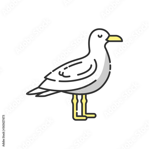 Seagull RGB color icon. Common seabird, ordinary flying animal. Beaches and coastlines inhabitant. Zoology, ornithology. Sea mew, gull isolated vector illustration